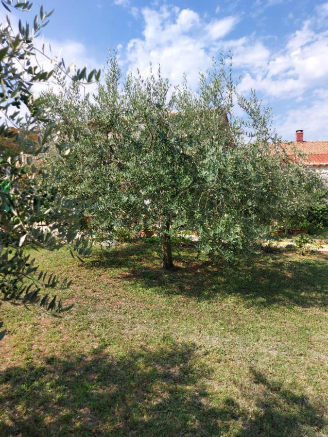 Apartments Marija Умаг Екстериор снимка
